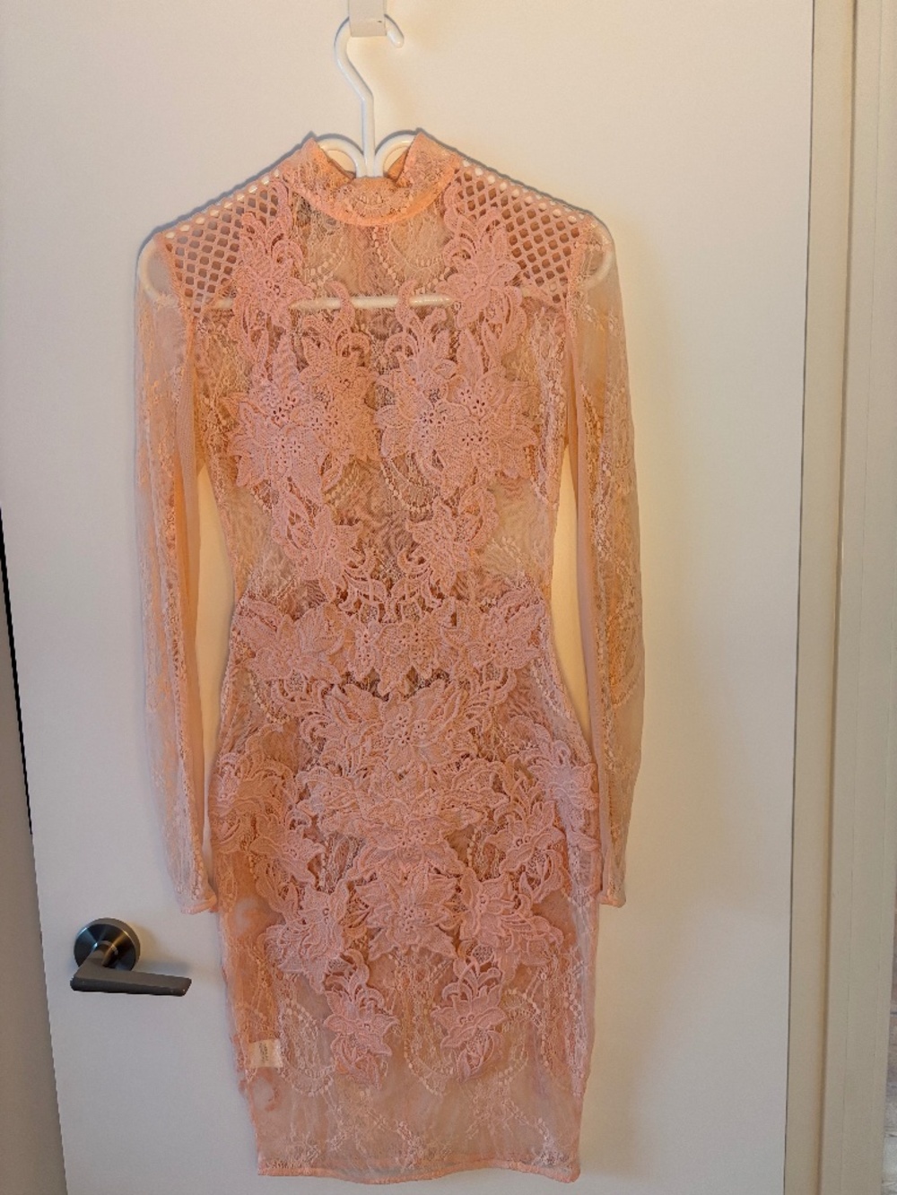 Gorgeous Blush Pink Lace Illusion Bodycon Midi with Long Sleeves